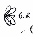 Bremsstrahlung radiation pattern